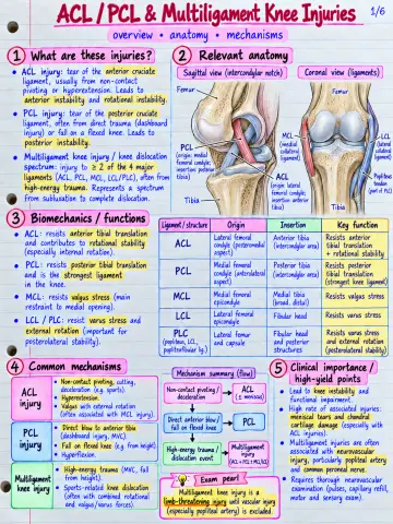 ACL, PCL, and multiligament knee injuries preview