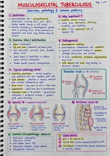 Musculoskeletal tuberculosis preview
