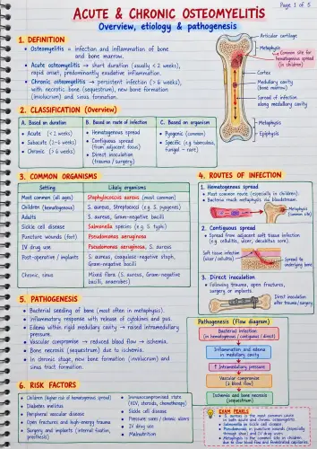 Osteomyelitis preview